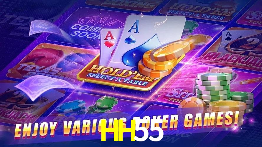 Login Seguro HH55